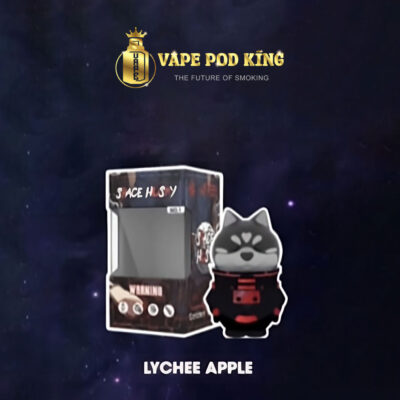 Husky Space Pod 6000 Hơi Pod 1 Lần