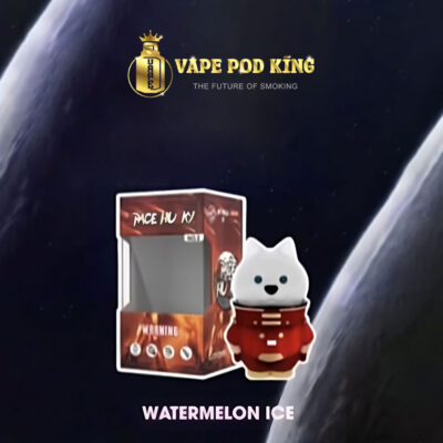 Husky Space Pod 6000 Hơi Pod 1 Lần