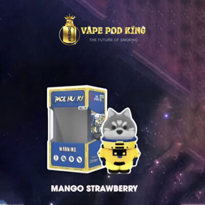 Husky Space Pod 6000 Hơi Pod 1 Lần